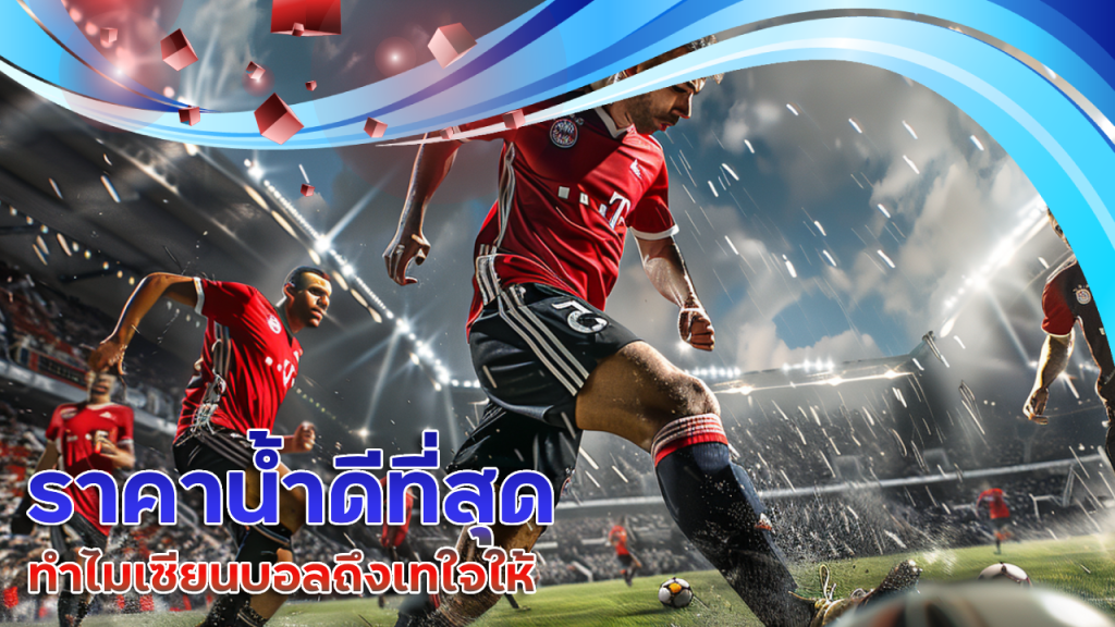 ราคาน้ำดีที่สุด ufanamo